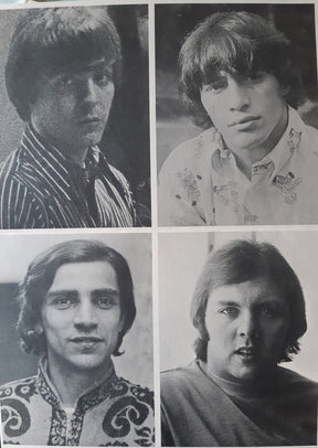 The Young Rascals : Groovin' (LP, Album, M/Print, Pit)