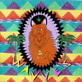 Wavves - King of the Beach LP