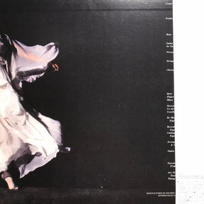 Mai Yamane = 山根麻衣* : Tasogare = たそがれ (LP, Album, RE)