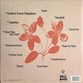 Beabadoobee : Fake It Flowers (LP, Album, Ltd, Ora)
