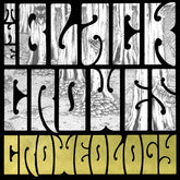 The Black Crowes - Croweology LP