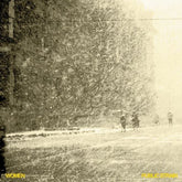 Women - Public Strain LP