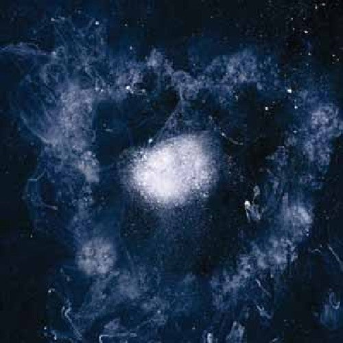 Swans - My Father Will Guide Me Up a Rope to the Sky LP