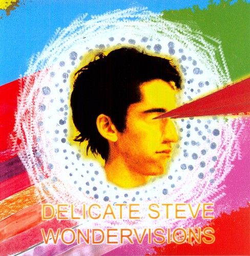 Delicate Steve - Wondervisions LP