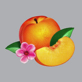 Phoenix -  Bankrupt! CD (Jewel case)