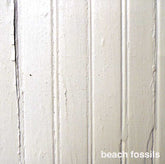 Beach Fossils - S/T LP