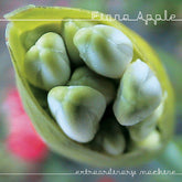 Fiona Apple - Extraordinary Machine CD
