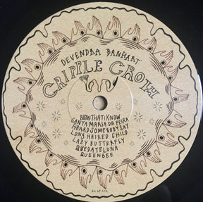 Devendra Banhart : Cripple Crow (2xLP, Album)