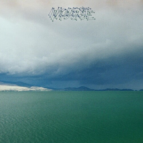 Modest Mouse - Fruit That Ate Itself CD