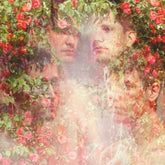 STRFKR - Miracle Mile CD