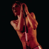 The Stooges - Raw Power CD