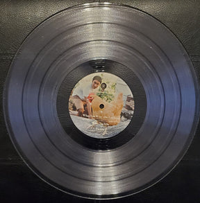 Nick Kurosawa : Home (LP, Album, RE, Cle)