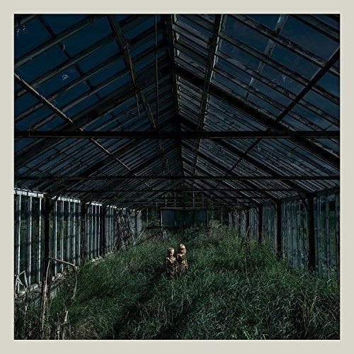 Foxing - Dealer LP (Colored Vinyl)