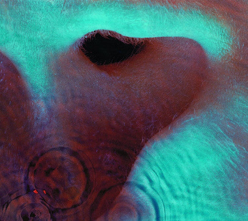 Pink Floyd - Meddle CD (Softpak)