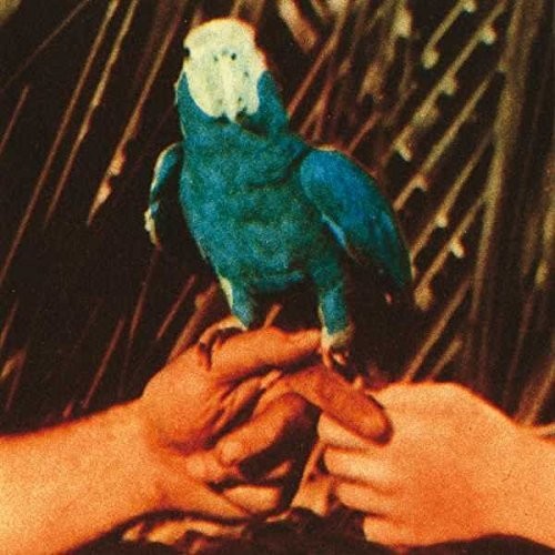 Andrew Bird - Are You Serious LP
