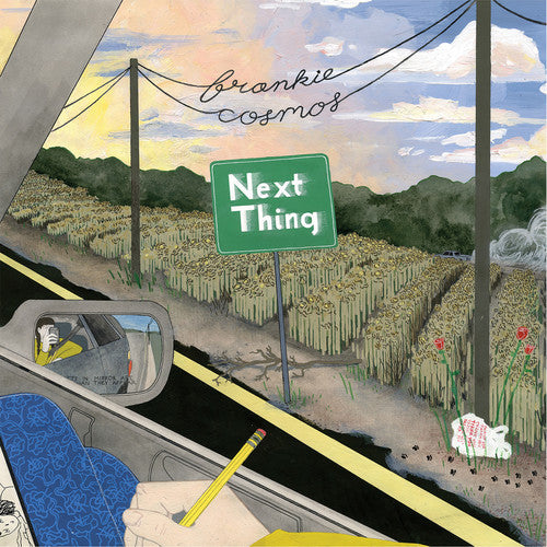Frankie Cosmos - Next Thing LP