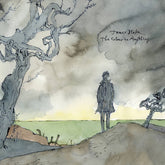 James Blake - The Colour In Anything 2LP (180g Vinyl)