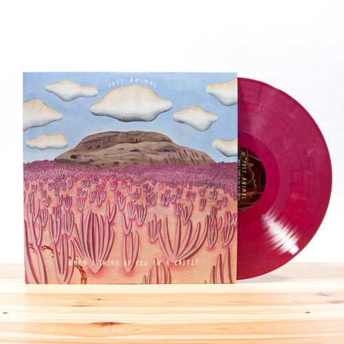 Post Animal - When I Think Of You In A Castle ( LP (180 Gram Vinyl, Digital Download Card, Colored Vinyl)