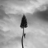 Manchester Orchestra - A Black Mile To The Surface CD