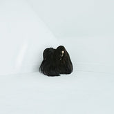 Chelsea Wolfe - Hiss Spun CD (Digipack)