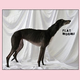 Flat Worms - S/T LP