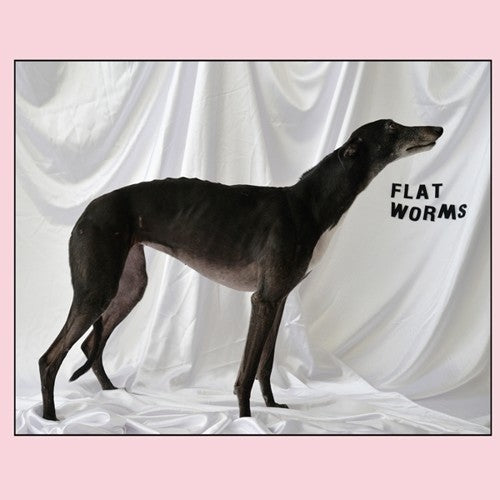 Flat Worms - S/T LP