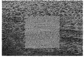 Grouper - Grid Of Points LP