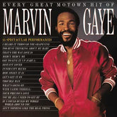 Marvin Gaye - Every Great Motown Hit Of Marvin Gaye: 15 Spectacular Performances LP