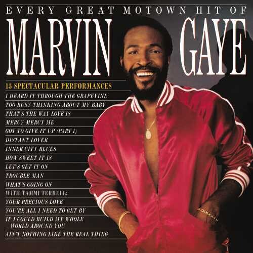 Marvin Gaye - Every Great Motown Hit Of Marvin Gaye: 15 Spectacular Performances LP