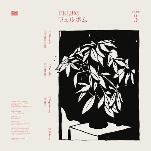 Felbm - Tape 3 / Tape 4 LP