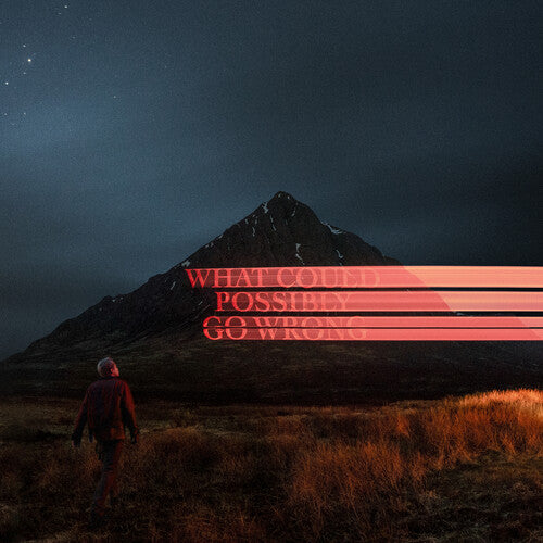 Dominic Fike - What Could Possibly Go Wrong CD (Explicit Lyrics)