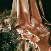 Tigers Jaw - I Won't Care How You Remember Me (Coke Bottle Green Viny) LP (Green)
