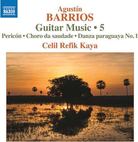 Guitar Music 5 CD