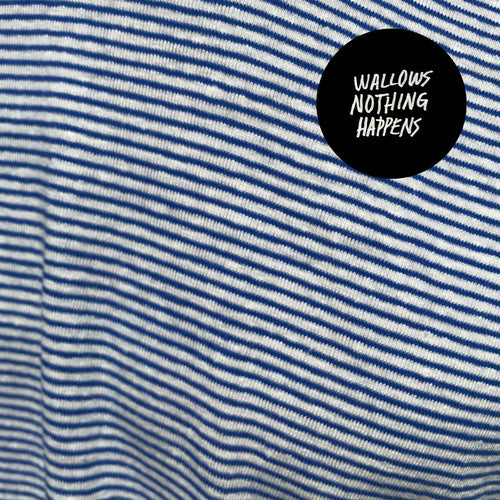 Wallows - Nothing Happens CD