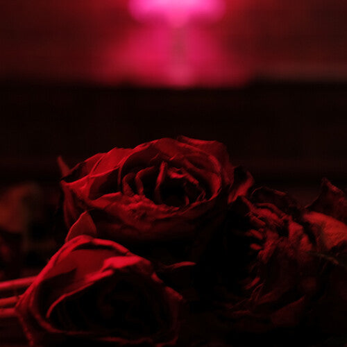 The Paper Kites - Roses LP