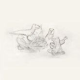 Big Thief - Dragon New Warm Mountain I Believe In You CD