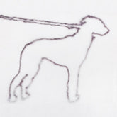 the album cover for Jonah Yano - Portrait Of A Dog