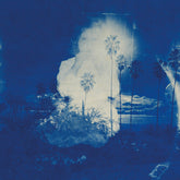 Fruit Bats - A River Running to Your Heart LP