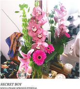 Wicca Phase Springs Eternal - Secret Boy LP (Doublemint Green Colored Vinyl)