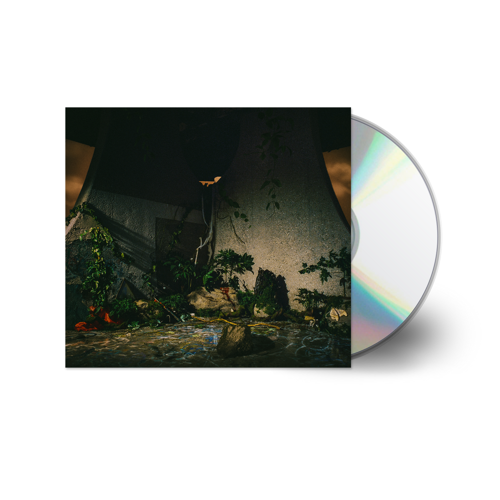 the album cover for The Plot In You - The Plot In You