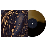 the album cover for Commoner - Former Self [Black Ice / Gold]