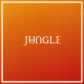 Jungle - Volcano CD