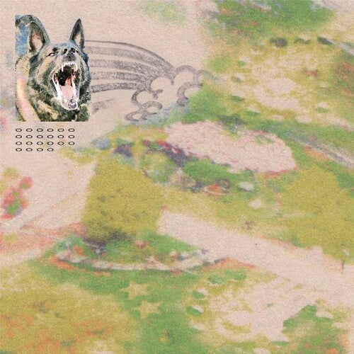 Feeble Little Horse - Girl With Fish CD