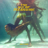 Janelle Monae - The Age Of Pleasure CD (Jewel case)