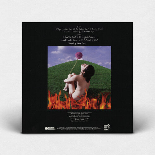 Paula Cole - This Fire LP (Anniversary Edition, Colored Vinyl, Blue, Limited Edition, 140 Gram Vinyl, Reissue)