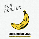 The Feelies - Some Kinda Love: Performing The Music Of The Velvet Underground 2LP