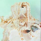 Pale Saints - In Ribbons 2LP (Deluxe Edition, Gatefold LP Jacket)