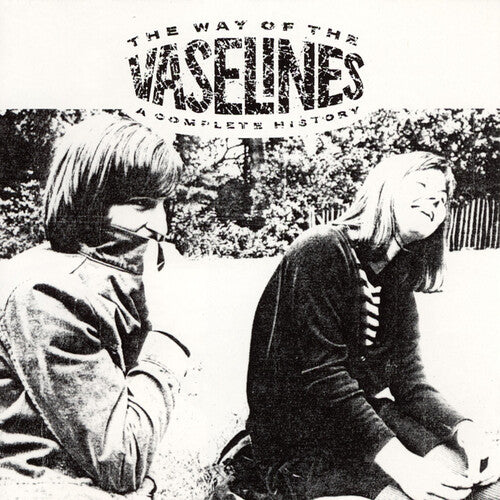 The Vaselines - The Way of the Vaselines 2LP (Colored Vinyl)