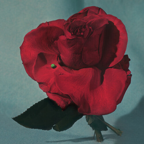 Metz - Up on Gravity Hill LP (Red Colored Vinyl)