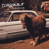 Dinosaur Jr.:  The Black Session: Live In Paris 1993
